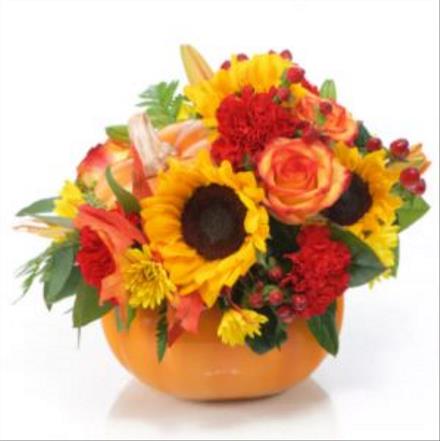 Photo of flowers: Pumpkin Spice