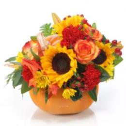 Photo of flowers: Pumpkin Spice