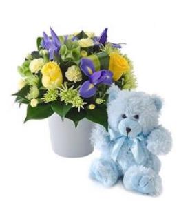 Photo of flowers: IT'S A BOY