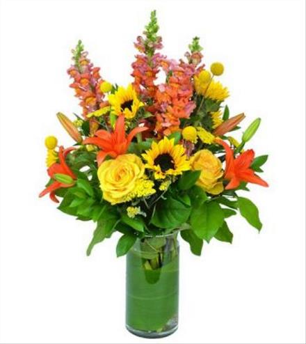 Photo of flowers: SUNSHINE BRILLIANCE