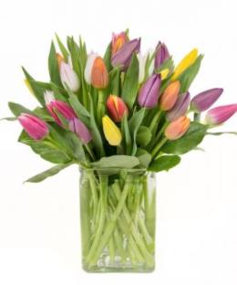 Photo of flowers: Fields of Tulips