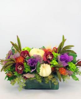 Photo of flowers: Autumn Joy