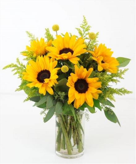 Photo of flowers: SUNNY DAZE