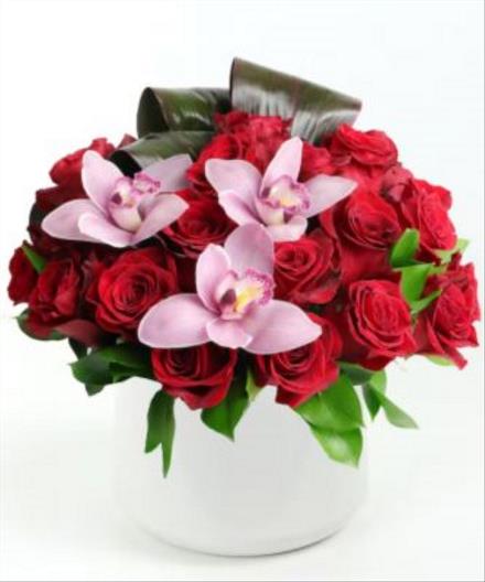 Photo of flowers: RED ROSE PAVE