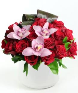 Photo of flowers: RED ROSE PAVE
