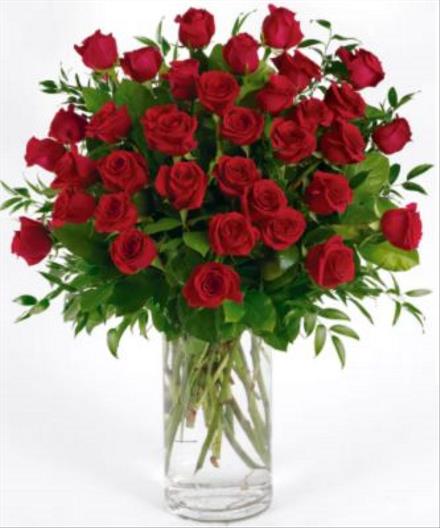 Photo of flowers: Red Long Stem Roses
