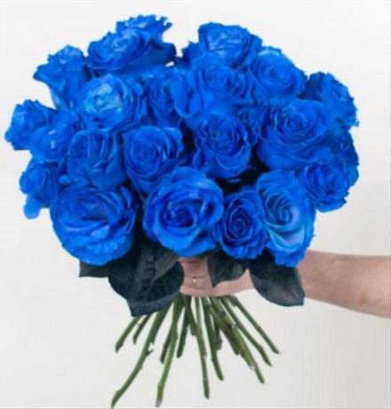 Photo of flowers: Dozen Blue Roses