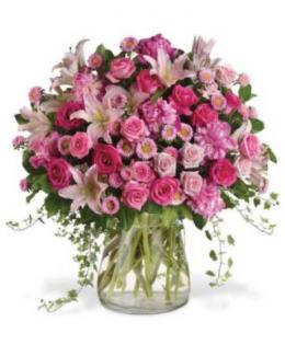 Photo of flowers: Queen For A Day