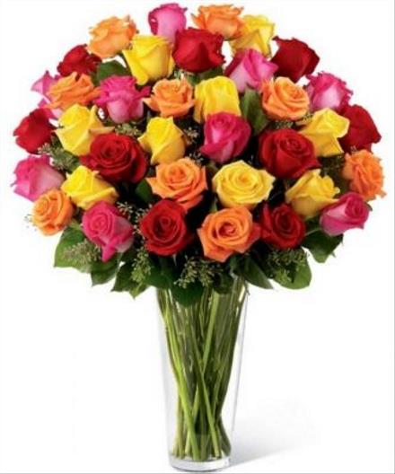 Photo of flowers: Coloured Long Stem Roses
