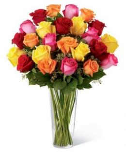 Photo of flowers: Coloured Long Stem Roses