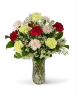 Photo of flowers: Dozen Colourful Carnations