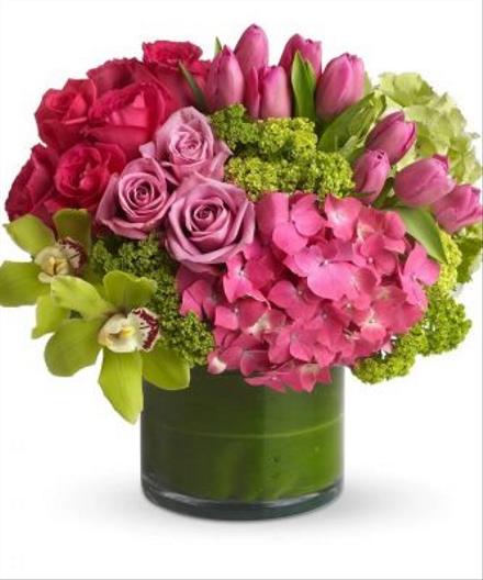 Photo of flowers: New Sensations