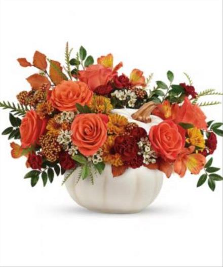 Photo of flowers: ENCHANTED HARVEST