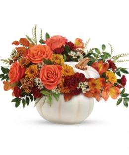 Photo of flowers: ENCHANTED HARVEST