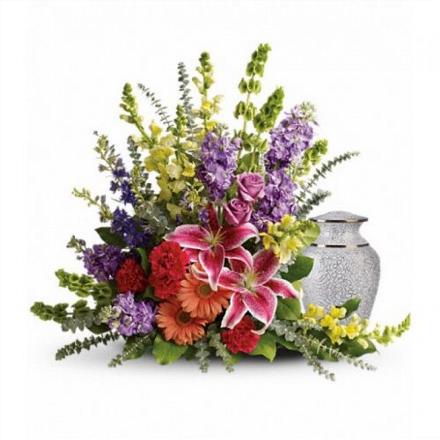 Photo of flowers: Shades Of Faith