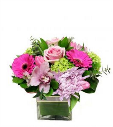 Photo of flowers: SWEET CANDY